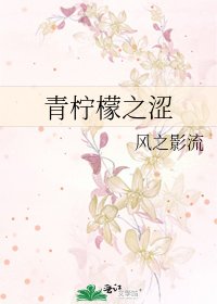 青柠檬之涩