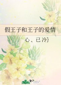 《假王子和王子的爱情》