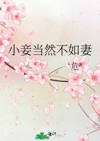 《小妾当然不如妻》