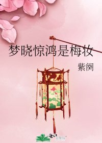 《梦晓惊鸿是梅妆》
