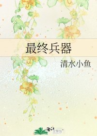 《最终兵器》