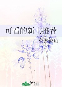《可看的新书推荐》