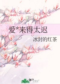 爱*来得太迟
