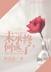 半分糖/未承终，何成了