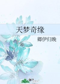 《天梦奇缘》