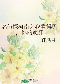 《名侦探柯南之我看得见,你的疯狂》