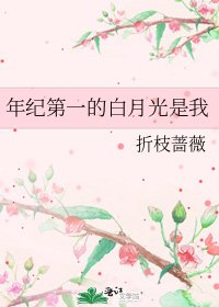 年纪第一的白月光是我
