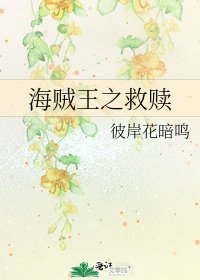 海贼王之救赎
