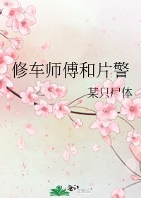 修车师傅和片警