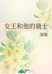 《女王和他的骑士》