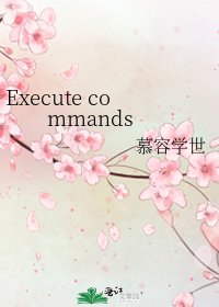 《Execute commands》
