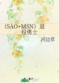 （SAO+MSN）退役勇士