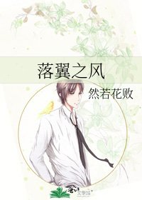 《落翼之风》