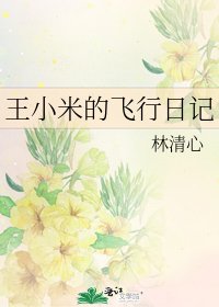王小米的飞行日记
