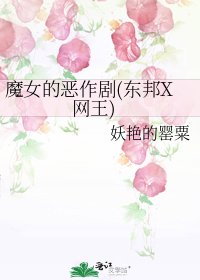 《魔女的恶作剧(东邦X网王)》