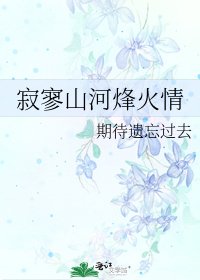 寂寥山河烽火情
