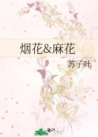 烟花&麻花