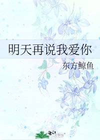 《明天再说我爱你》
