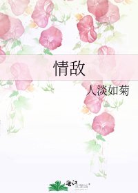 情敌