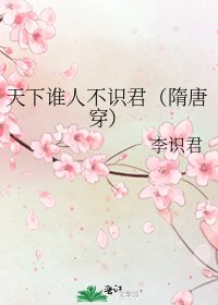 天下谁人不识君（隋唐穿）