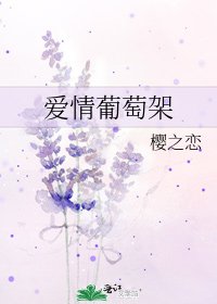 《爱情葡萄架》