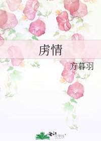 《虏情》