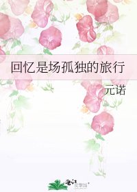 《回忆是场孤独的旅行》