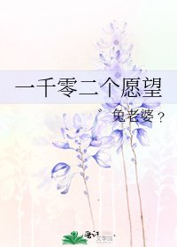 《一千零二个愿望》
