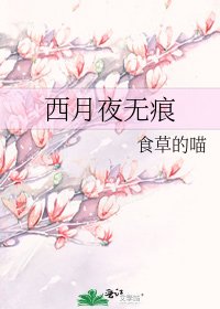 西月夜无痕