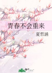 《青春不会重来》
