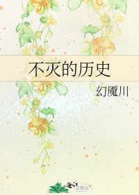 《不灭的历史》