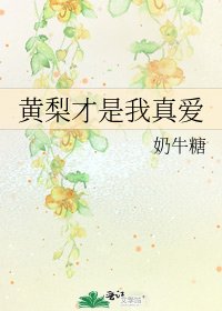 黄梨才是我真爱