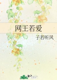 网王若爱