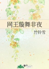 网王璇舞非夜