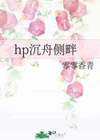 《hp沉舟侧畔》