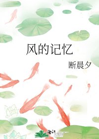 风的记忆