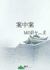 案中案