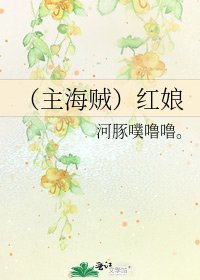 《(主海贼)红娘》