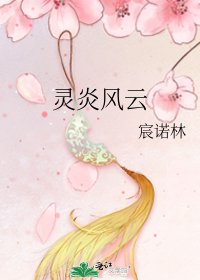 《灵炎风云》