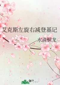 艾克斯左旋右减登基记
