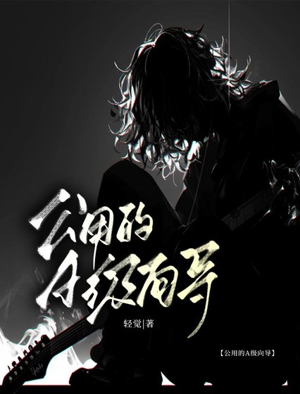 公用的A级向导