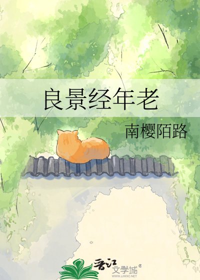 良景经年老