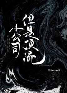 小公司,但是丁流