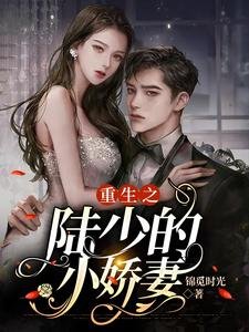重生之陸少的小猖妻