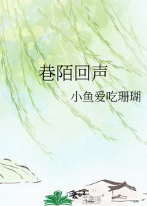 巷陌回声