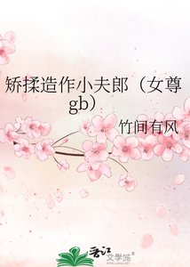 矯医造作小夫郎(女尊gb)