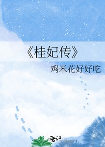 桂妃传