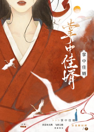 掌中佳婿