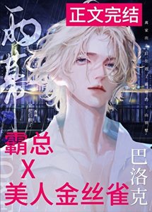 雨幕巴洛克