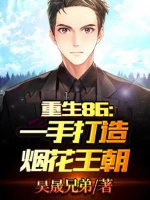 重生86:一手打造煙花王朝